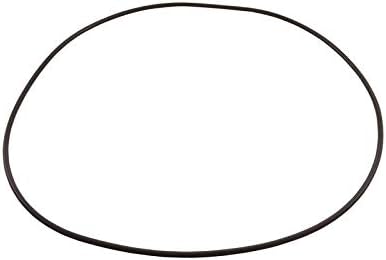 Waterway Plastics 805-0460 Clearwater II Swimming Pool Filter O-Ring by Waterway