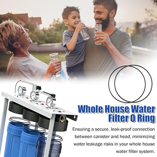 Water Filter O-Ring for Simpure DB10C & PurePlus PP-WFM10B 4.5"x10" Filter - Image 7