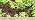 Rain Bird PRF07530S Drip Irrigation in-Line 30 PSI Pressure Regulating Y Filter, 3/4" Male Pipe Thread (Pack of 8) - Image 5