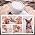 Dog Shower Attachment with 3 Modes - Image 7