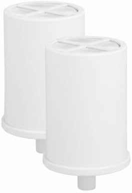 GE Shower Replacement Filter | Removes Chlorine | Replace Filter (FXSCT) Every 6 Months | FXSCT, 1 Count (Pack of 2) by Unknown
