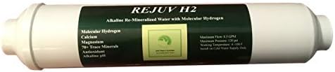 Alkaline H2 Water Filter with Minerals and Molecular Hydrogen for RO Systems. 2" x 10" Filter with Mounting Kit. Converts Any RO Systems to an Alkaline Water Ionizer. (BIOCERA AA Compatible) by Unknown