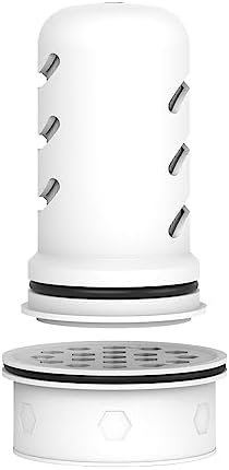 MARRIOTTO Pitcher Filters Compatible with LifeStraw, Carbon+Ion 1+1 by MARRIOTTO
