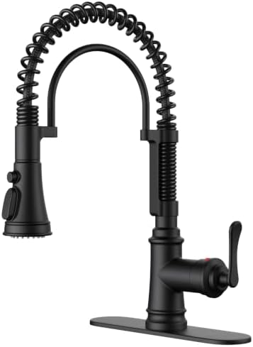 FORIOUS Black Kitchen Faucet with Pull Down Sprayer, Atique Style by FORIOUS