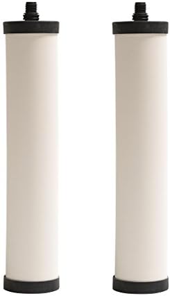 Franke FRC06-2PK Undersink Water Filtration Filter for FRCNSTR, Chlorine, 2-Pack by Franke