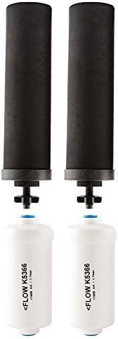 Set of 2 Berkey Authentic Black Berkey Elements (BB9-2) and 2 PF-2 Fluoride Reduction Elements - Combo Pack by Berkey