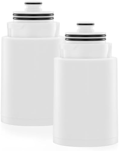Ryamen Shower Head Filters Replacement ONLY for Dual 10" Filtered Shower Head Combo, Effective Chlorine Removal Rate≥90%, 2-Pack (White) by Enjoyabeatifullife