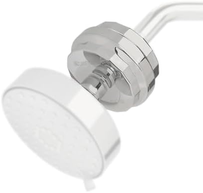 Brondell Shower Filter VivaSpring, Compact Brushed Nickel – High Output, 100% High-Purity KDF Filtration, With FF-30 Filter Cartridge, Filtered Shower Water for Healthier Skin & Hair by Brondell