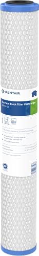 Pentair Pentek EPM-20 Carbon Water Filter, 20-Inch, Whole House Modified Epsilon Carbon Block Replacement Cartridge with Bonded Powdered Activated Carbon (PAC) Filter, 20" x 2.5", 10 Micron by PENTAIRPENTEK