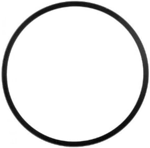 Replacement Gasket/O-Ring for Dual & Triple Whole House Filter Housings – 3/4″ Port by MyWaterClub