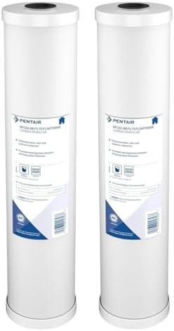 Pentair Pentek RFC20-BB Big Blue 20" x 4.5" Carbon Water Filter, Pack of 2 by PENTAIRPENTEK