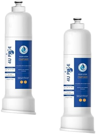 ICE2 F2WC9I1 ICE Maker Filter Replacement, 2 Pack by 4UPURE