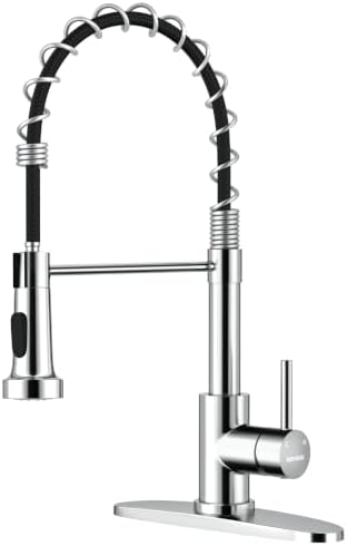WEWE Pull-Down Kitchen Faucet, 2-Mode Sprayer, Polished Chrome, High Arc by WEWE