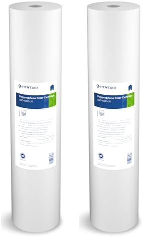 Pentair Pentek DGD-5005-20 Big Blue Water Filter, 20-Inch Whole House Sediment Filter Cartridge Replacement, Dual-Gradient Density Spun Polypropylene, 20" x 4.5", 5 Micron, (Pack of 2), White by PENTAIRPENTEK