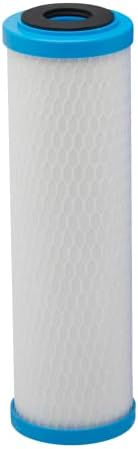 Pentair Pentek ChlorPlus Protect 10 Carbon Block Water Filter by PENTAIRPENTEK