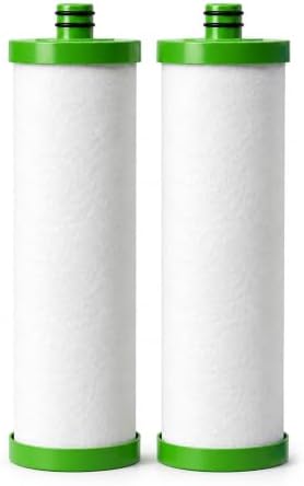 LCF P1 Filter Replacement for Waterdrop TST-UF/TST-B & LCF-DCT-PC, 2-Pack by LCF