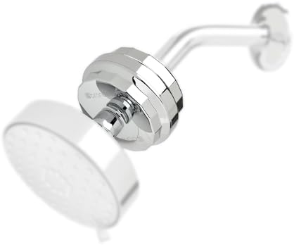 Brondell Shower Filter VivaSpring, Compact Polished Chrome – High Output, 100% High-Purity KDF Filtration, With FF-30 Filter Cartridge, Filtered Shower Water for Healthier Skin & Hair by Brondell