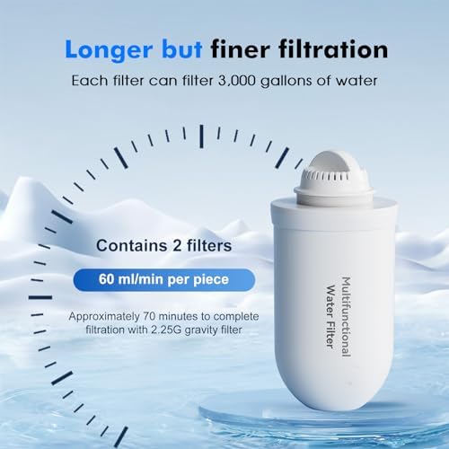 Purewell 2 Pack K8001 Multifunctional Water Filter Elements, Replacement Filters for Purewell Upgraded PW-FH/PW-FH-CF/PW-FH-FT Gravity Water Filter System - Image 2