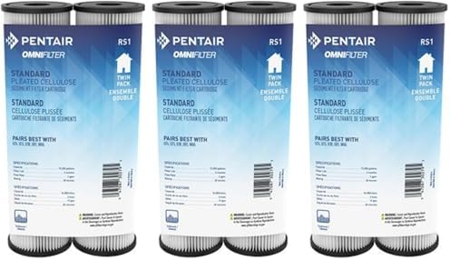 Pentair OMNIFilter RS1 Sediment Water Filter, 10-Inch, Standard Whole House Pleated Cellulose Sediment Replacement Filter Cartridge, 10" x 2.5", 20 Micron, (Pack of 6) by PentairOmniFilter