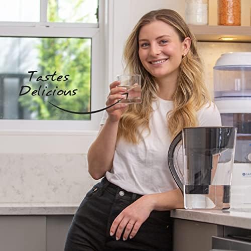 Single Replacement MINA Alkaline Water Filter by Santevia | Single At Home Water Pitcher Filter Adds Minerals and Makes Alkaline Water | Chlorine and Lead Water Filter | American Filtration Media - Image 3