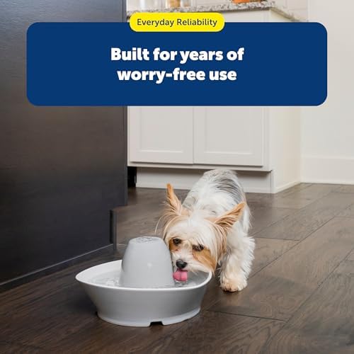 PetSafe Drinkwell Pet Fountain Replacement Carbon Filters, (Pack of 48) - Image 6