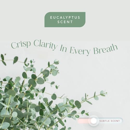 Vitamin C Shower Filter Replacement Cartridge + Shower Steamers Aromatherapy - K Beauty Skin & Hair Enhancement, Universal Water Filter Replacement for AquaBliss - Eucalyptus Scent - Image 6