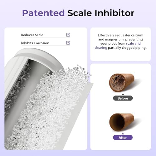 iSpring WGB21B-DS 2-Stage Anti-Scale Whole House Water Filter System - Image 4