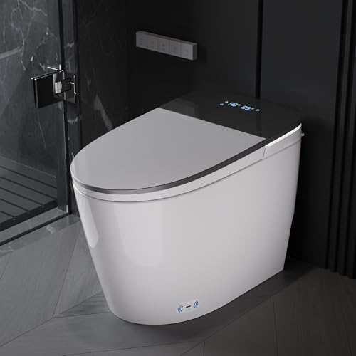 DeerValley Smart Toilet with Bidet Built in, Voice Control, Spa Wash, Auto Open/Close, Pump Assisted, Water Filter, Foam Shield, Dryer, Deodorization, ADA Height Japanese One-Piece Toilet for Bathroom by DeerValley