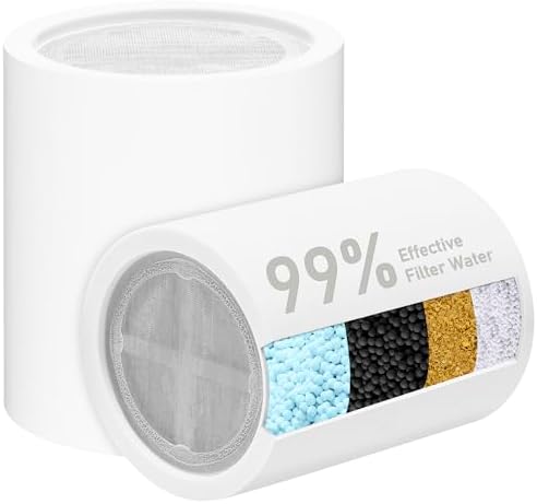 BBLIFE 2-Pack Shower Filter Replacement Cartridges with NSF-Certified Media by BeBetterLife