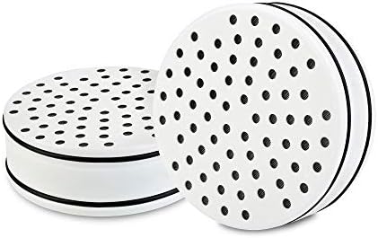 Brondell FF-15X2 Replacement Water Filter for VivaSpring Filtered Shower Head, Lasts 6 Months, 2-Pack by Brondell