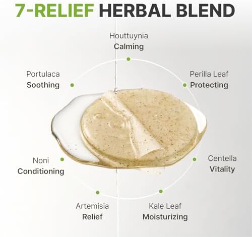 Rbfy. Daily Ampoule Toner Pads (100 Pads) with Centella Asiatica - Image 6