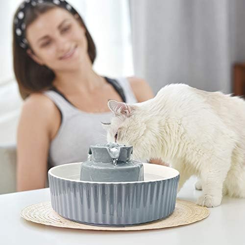 Pet Drinking Fountain: Cepheus 2.1L/71oz Cat Fountain-Automatic Water Fountain for Cats and Dogs with with Ultra-Quiet Pump(Grey) - Image 6