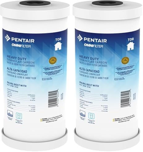 Pentair OMNIFilter TO8 Carbon Water Filter, 10" Heavy Duty Big Blue Whole House Granular Carbon Taste & Odor Replacement Filter Cartridge, 10" x 4.5", 25 Micron |(Pack of 2) by PentairOmniFilter