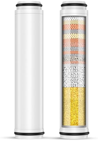 FEELSO Shower Filter for Handheld Shower Head, 2 PCS Replacement Filters by FEELSO
