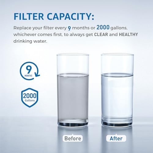 ICE2 F2WC9I1 ICE Maker Filter Replacement, 2 Pack - Image 4