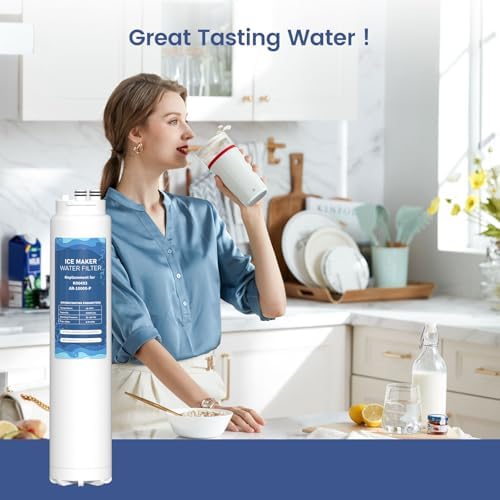 K00493 Arctic Pure Ice Maker Water Filter, Compatible with Manitowoc AR-10000-P Ice Maker Pack of 1 - Image 6