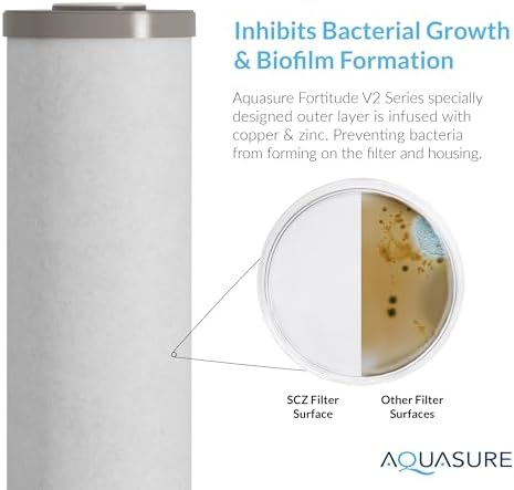 Aquasure Fortitude V2 Series Triple Purpose Sediment/Carbon/Zinc Replacement Filters (1, Large) - Image 3