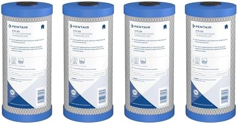 Pentair Pentek EPM-BB Big Blue 10" x 4.5" Carbon Block Water Filter by PENTAIRPENTEK