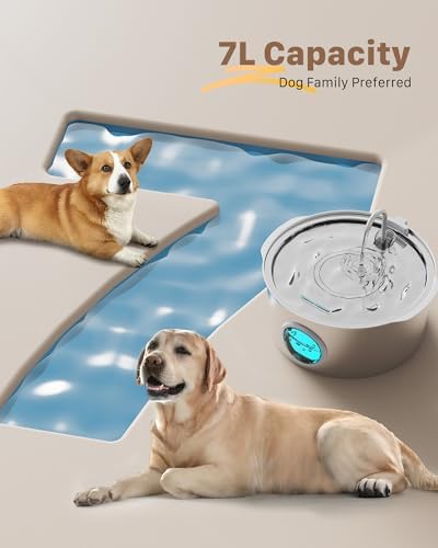 Pet Water Fountain for Large Dogs: Metal Dog Fountain with 6 Filters + 3 Sponges - Image 4
