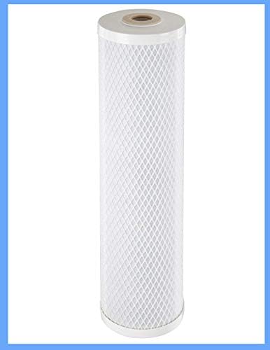 CFS 10 Micron 20x4.5 Carbon Block for C2-02 IHS12-D4 IHS22-D4 IHS22-E4 - Image 2