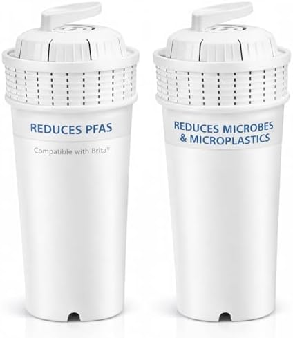 2 Ultrafiltration Water Filter, Filters Microbes PFAS Microplastics, & More by JOEYZ