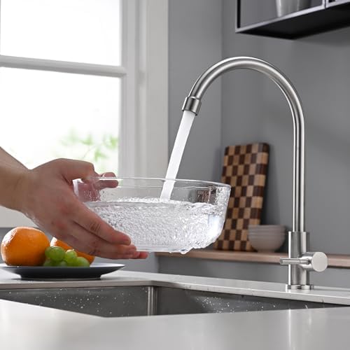 Cold Only Bar Sink Faucet, Brushed Nickel - Image 2