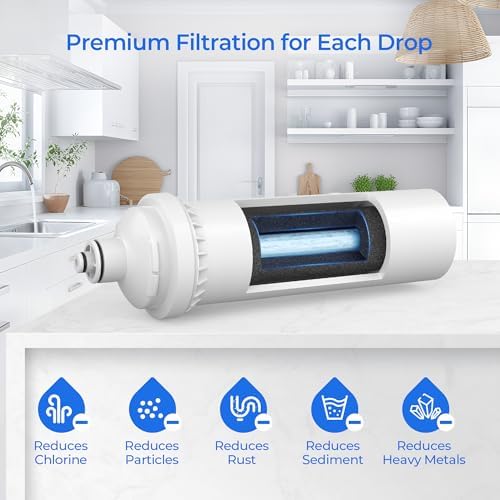 FI-CS-2500P Water Filter Replacement, 2 Pack - Image 5