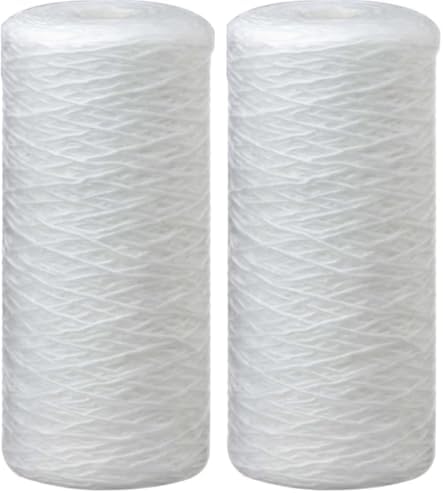 Pentair OMNIFilter RS22 Sediment Water Filter, 10-Inch, Whole House Heavy Duty Big Blue String Wound Replacement Cartridge, 10" x 4.5", 5 Micron, White 1 Count (Pack of 2) by PentairOmniFilter