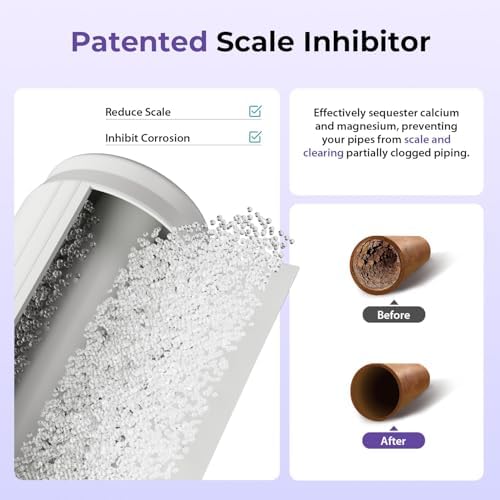 iSpring WGB31B-DS Anti-Scale Whole House Water Filter System - Image 2