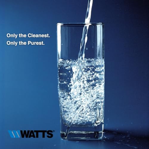 Watts Flow-Pur GAC RV 10" Inline Filter 1/2" MPT Threaded Fittings - Image 5