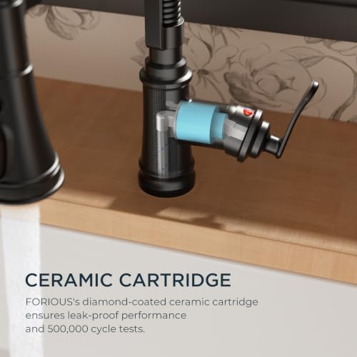 FORIOUS Black Kitchen Faucet with Pull Down Sprayer, Atique Style - Image 6