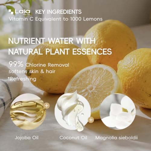 High Pressure Aromatherapy Filtered Shower Head with Handheld - Image 6