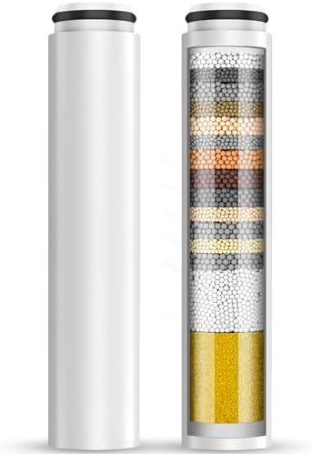 Cobbe 2 Pack Replacement Filters for Handheld Shower Head (CF1101) by Cobbe