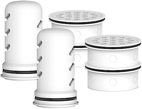 MARRIOTTO Pitcher Filters Compatible with LifeStraw, Carbon+Ion 2+4 by MARRIOTTO
